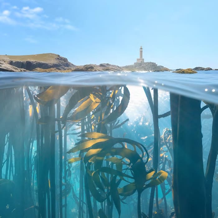 Антицеллюлитный уход 3D