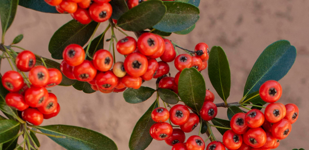 Август.Перезагрузка