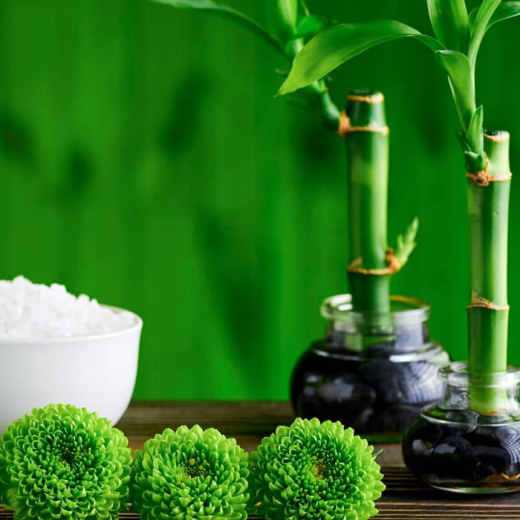 Обновление и детокс